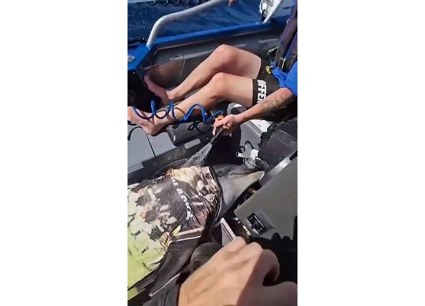 Ribari su delfina do obale prskali vodom jer nisu mogli sami da ga vrate u vodu