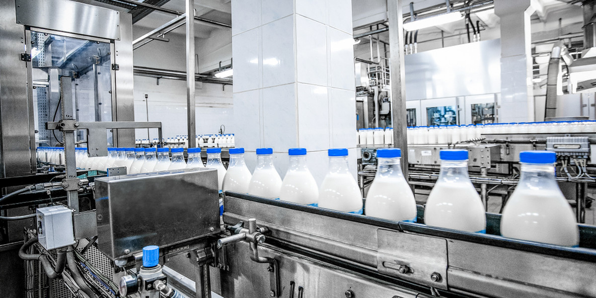 W IV kwartale 2022 r. spadła produkcja mleka u największych światowych eksporterów.