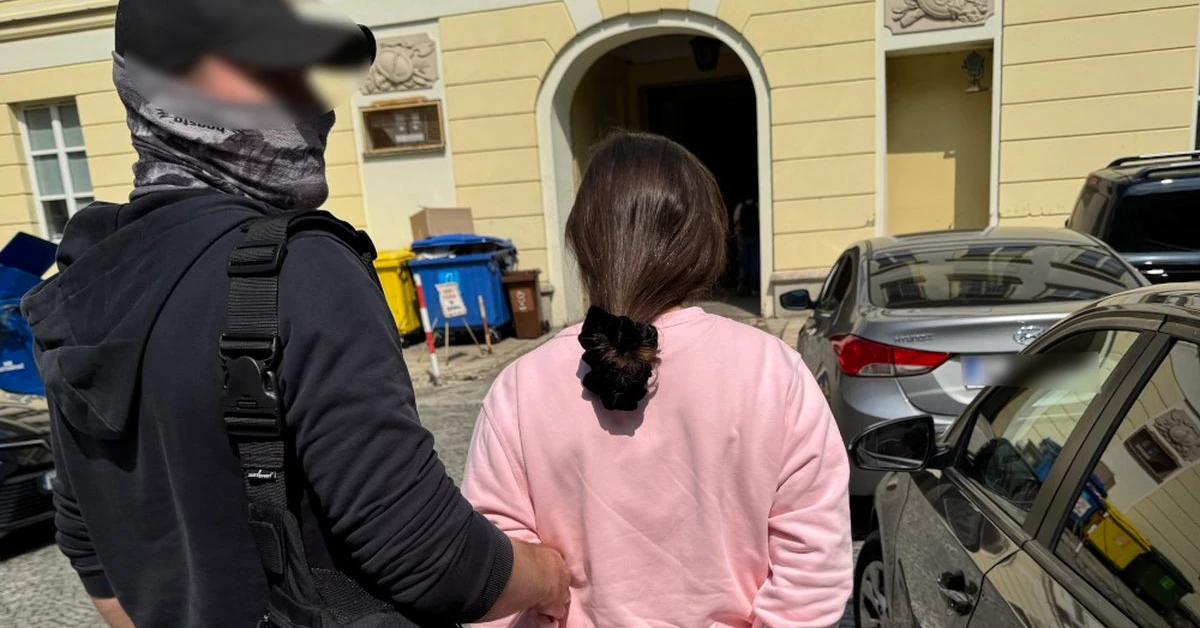 Małżeństwo sutenerów zatrzymane. W domu trzymali prawie milion złotych w gotówce