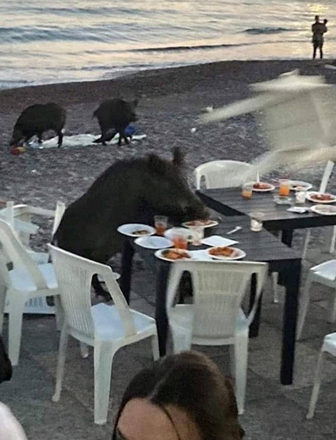 Plaža u Ahtopolu u Bugarskoj