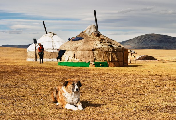 Mongolia, fot. Pichugin Dmitry