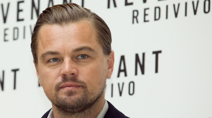 Leonardo DiCaprio balesetett szenvedett /Fotó: Northfoto