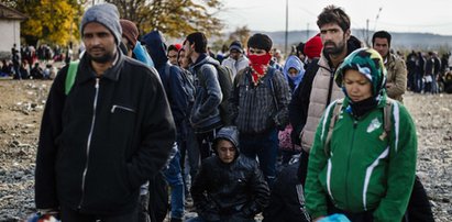 PiS nie wpuści uchodźców do Polski?