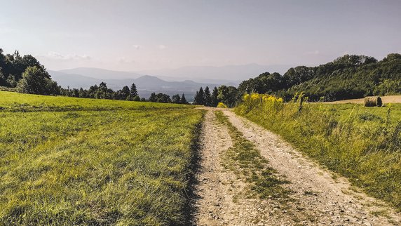 Widok w kierunku Rudaw Janowickich i Karkonoszy