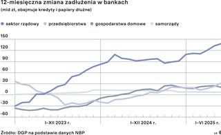 12 - miesięczna zmiana zadłużenia w bankach