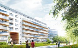 Mieszkanie na parterze – niedoceniana wygoda?