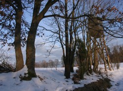 Chłopak powiesił się przez głupich kolegów