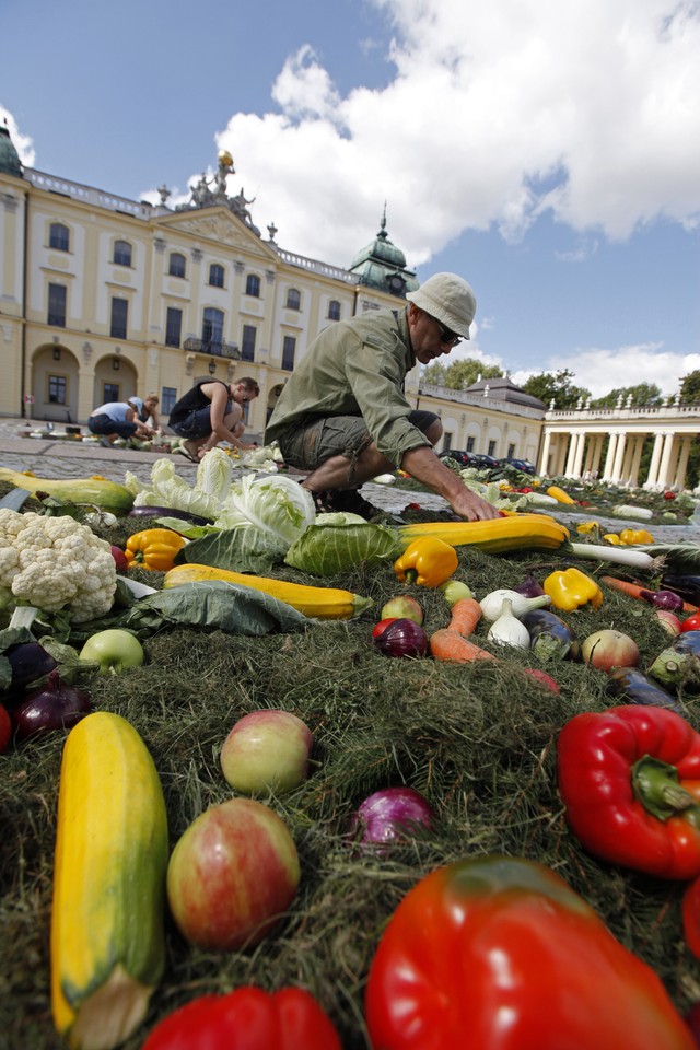 "Warzywna" instalacja przy Pałacu Branickich