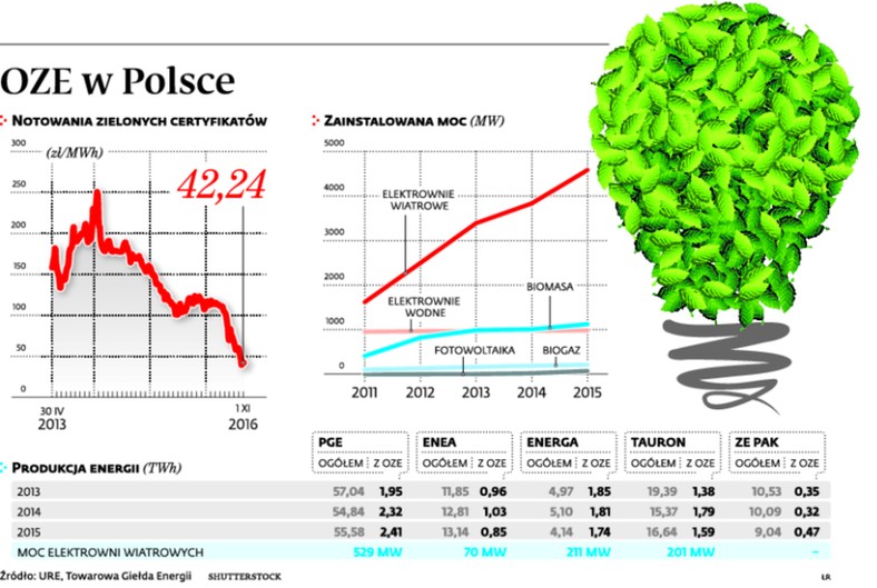 QZE w Polsce