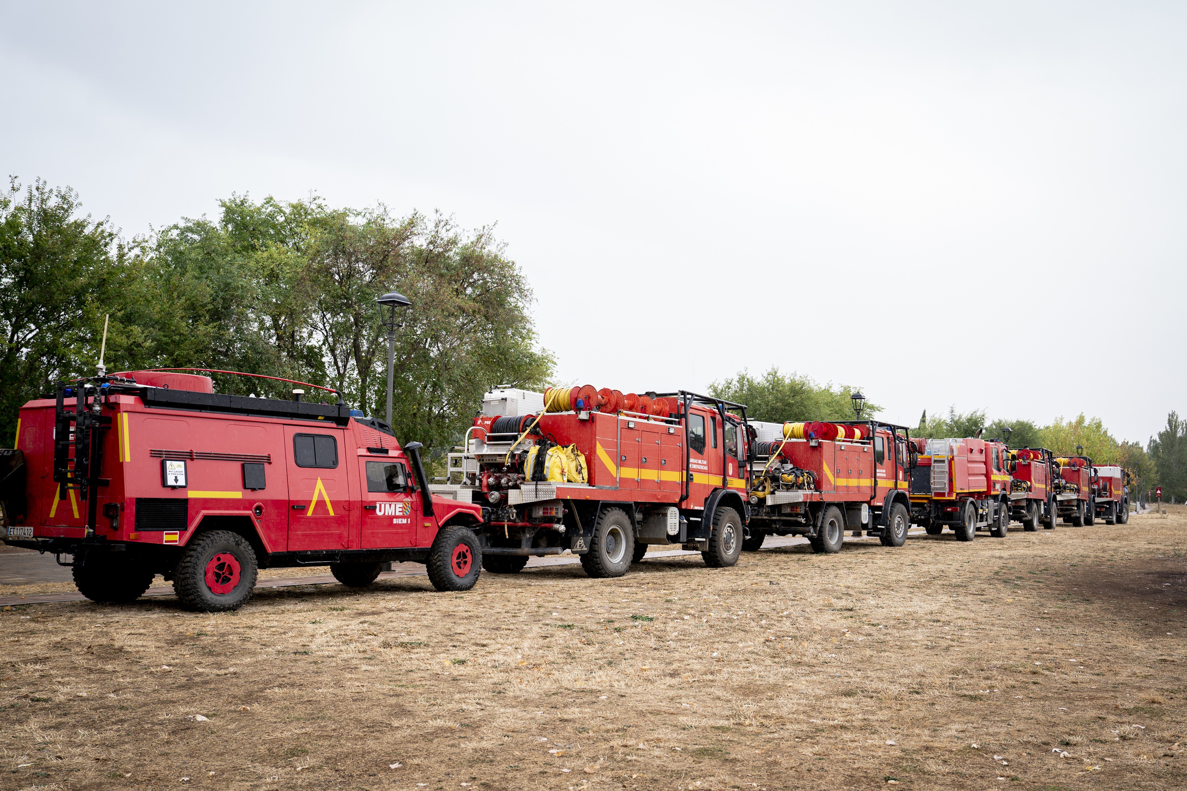 Estabilizado: Incendio Segovia arrasa 200 hectáreas forestales