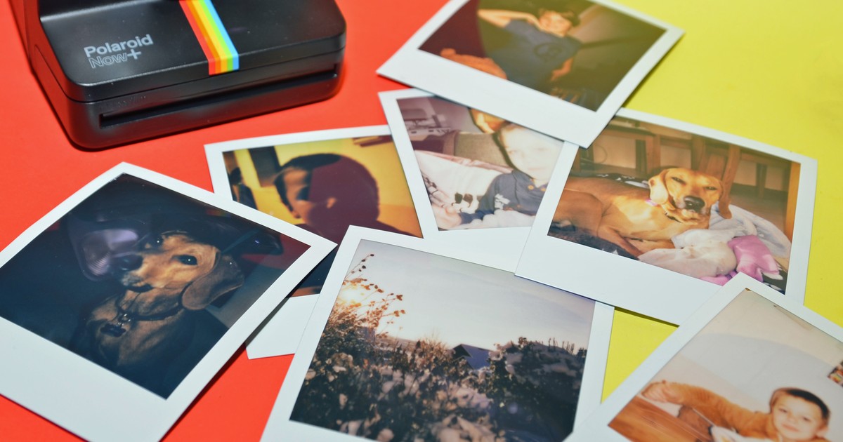 Sofortbildkameras von Polaroid, Kodak, Instax & Co. Fotos wie früher ab 70 Euro TechStage