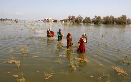Poplave u Pakistanu, provincija Sind