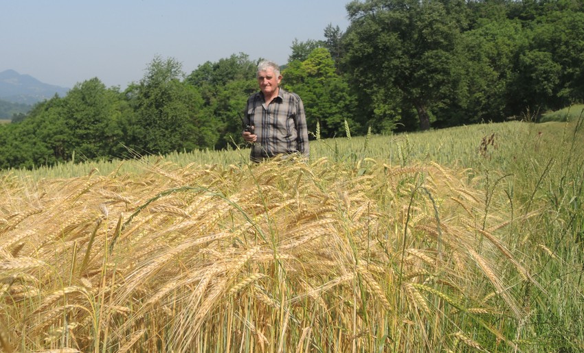 Bratislav 38 godina štiti svoje i tuđe useve