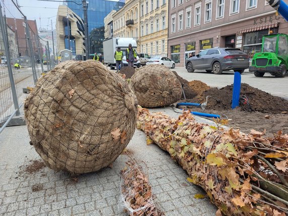 Na Al. Marcinkowskiego dotarł pierwszy transport nowych drzwi fot. PIM