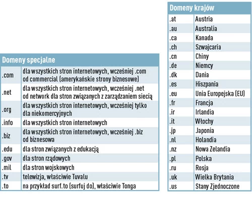 Za pomocą kilkuliterowej końcówki domeny można każdą stronę internetową przyporządkować - albo do konkretnego kraju, albo do specjalnej klasy stron internetowych