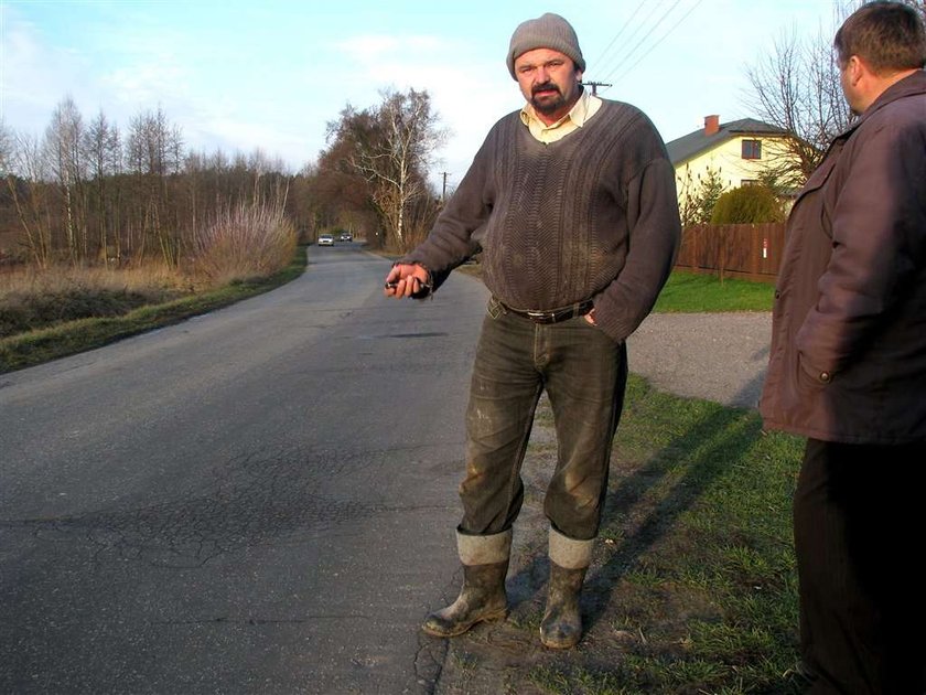 MLODY JELEN WBIEGL NA JEZDNIE UDERZYL W PRZEJEZDZAJACY SAMOCHOD