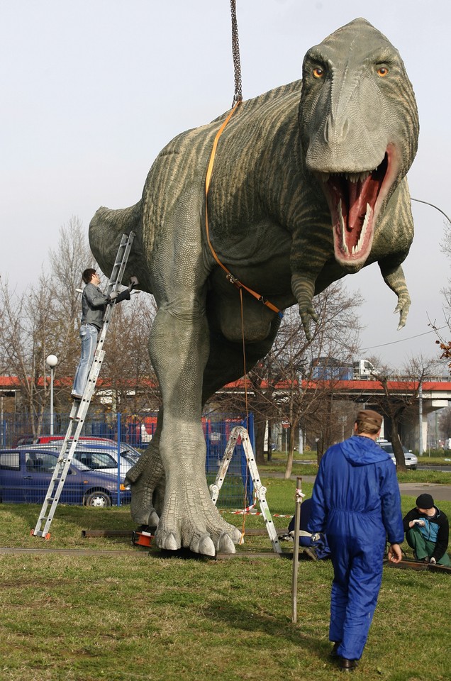 SOSNOWIEC TYRANOZAUR UNIWERSYTET ŚLĄSKI