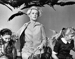 Kolejny głośny film nakręcony na nowo. Tym razem "Ptaki"