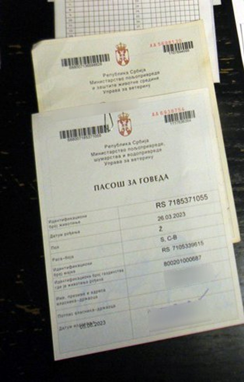 Otkrivena nelegalna klanica u Ratkovu