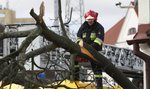 Tysiące domów bez prądu. Wichura nad Polską