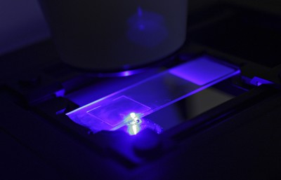 Żyjemy w epoce wielkiego biznesowego eksperymentu