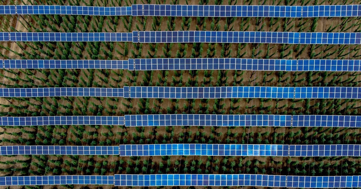 Morocco secures funding, signs power deals for 305MW Noor Atlas solar programme