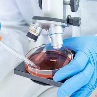 Halálos kórházi szuperbaktérium eheti meg a betegek kötszereit, implantátumait és varratait
