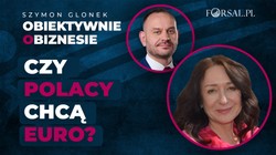 Czy Polacy chcą euro? To decyzja polityczna, nie ekonomiczna