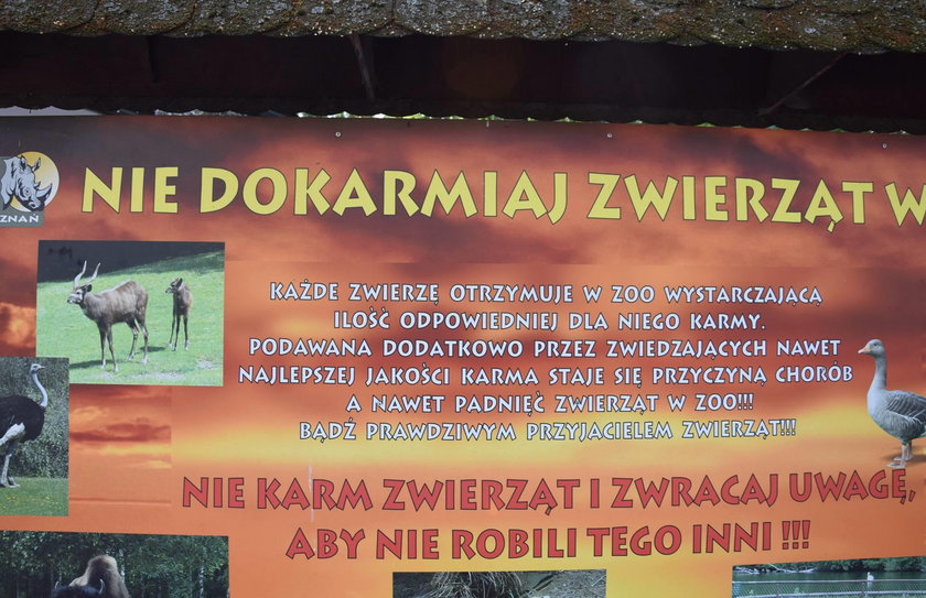 Jeśli ktoś dokarmia, zwróć mu uwagę