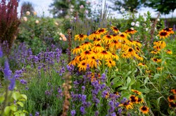 Łatwe w uprawie kwiaty do ogrodu - wieloletnie i jednoroczne. Idealne kwiaty do ogrodu dla początkujących