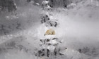 A polar bear is pictured through a frosted window while it rests at the St-Felicien Wildlife Zoo