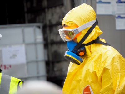 Rząd ogłasza restrykcje przez ptasią grypę. Czy naprawdę jest się czego bać?