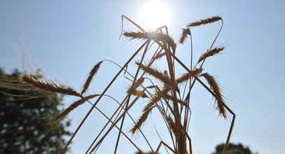 Widmo klęski nad Polską. Prognozy są coraz gorsze