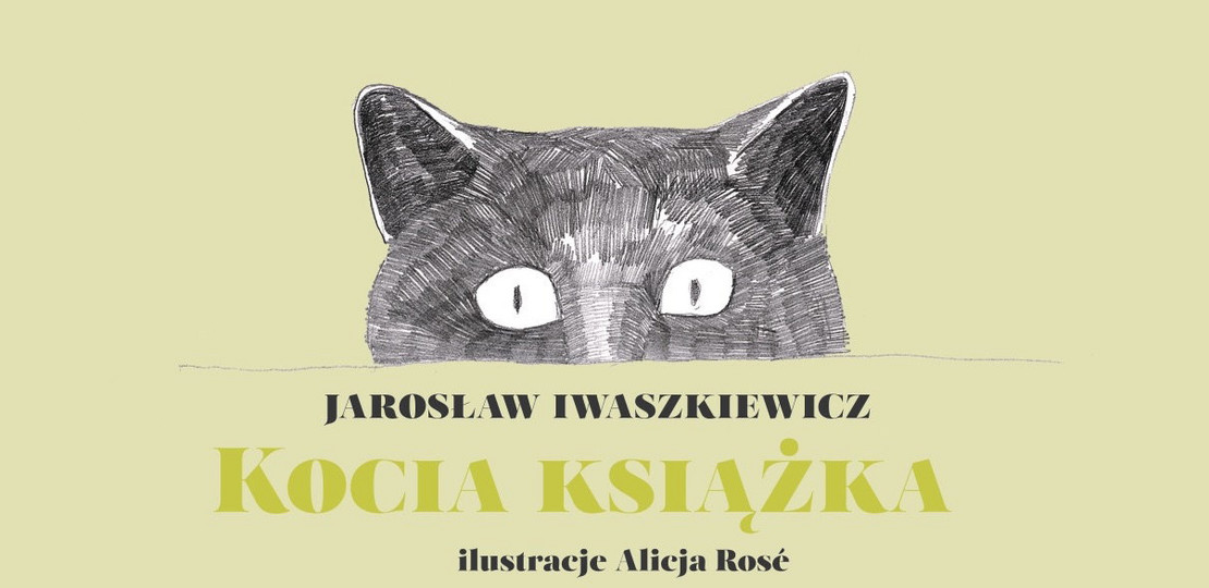 Kocia książka