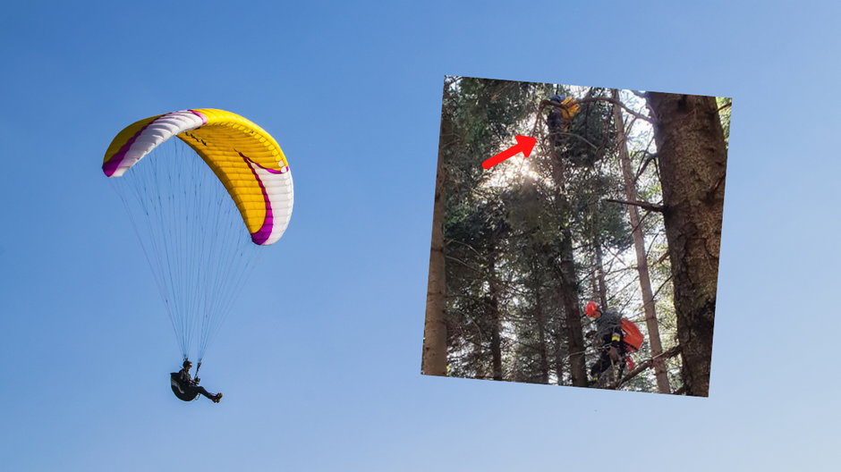 Paralotniarz utknął na drzewie 