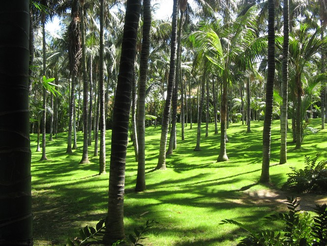 K jak kuchnia, obowiązkowo zielono-czerwona