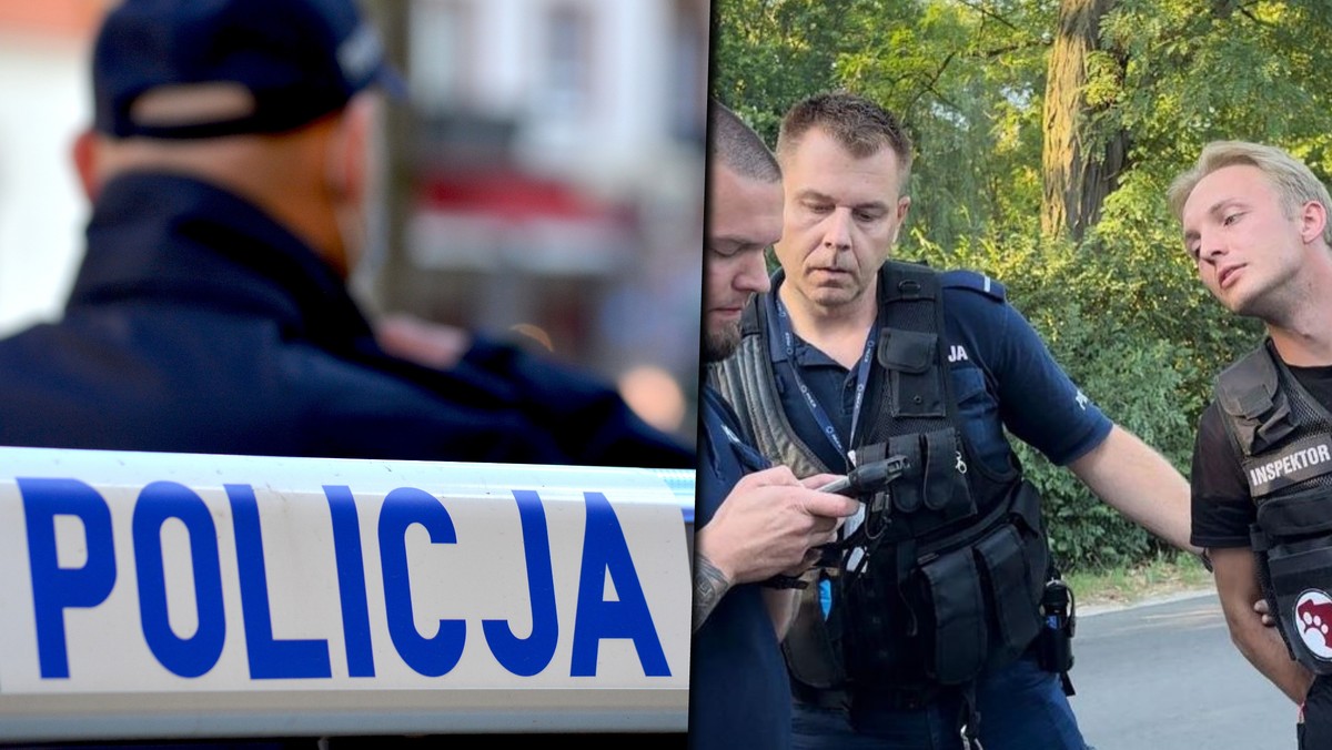 Odebrali nieleczonego psa, policja zrobiła im nalot. Szokujące słowa funkcjonariusza