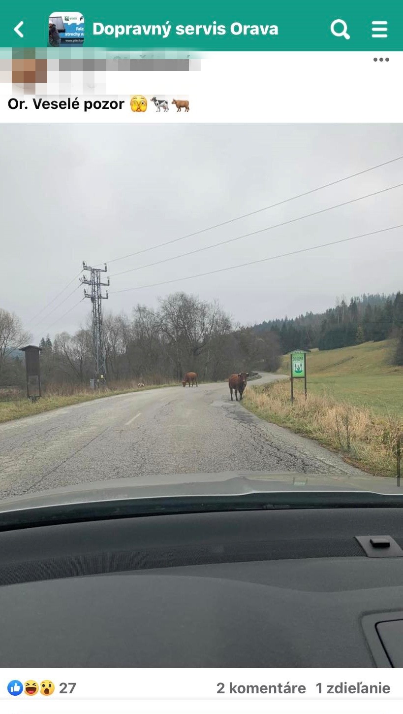 Takýto pohľad sa naskytol ďalšej Slovenke.