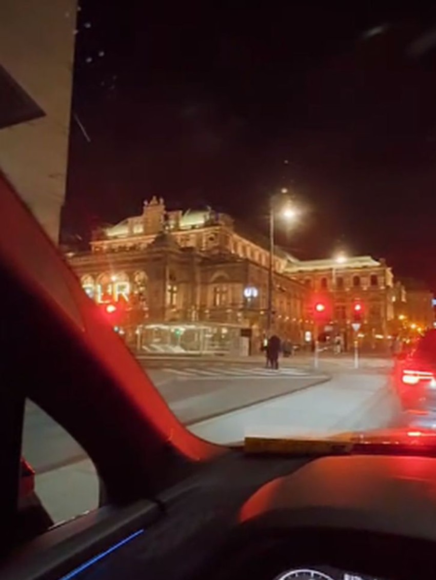 Selma Bajrami, objava