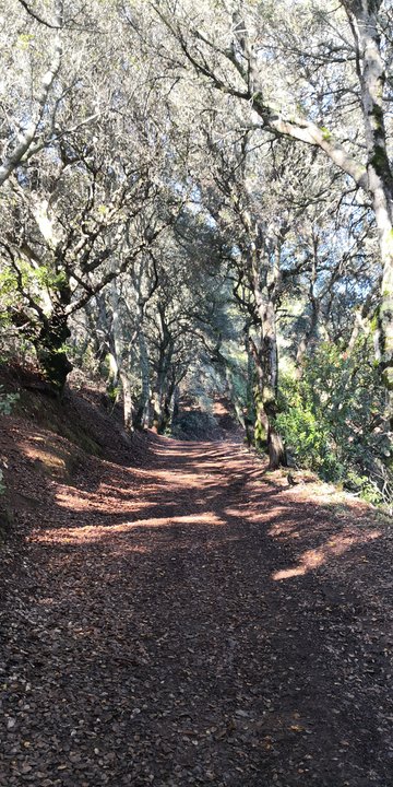 Kalifornia "hikes"