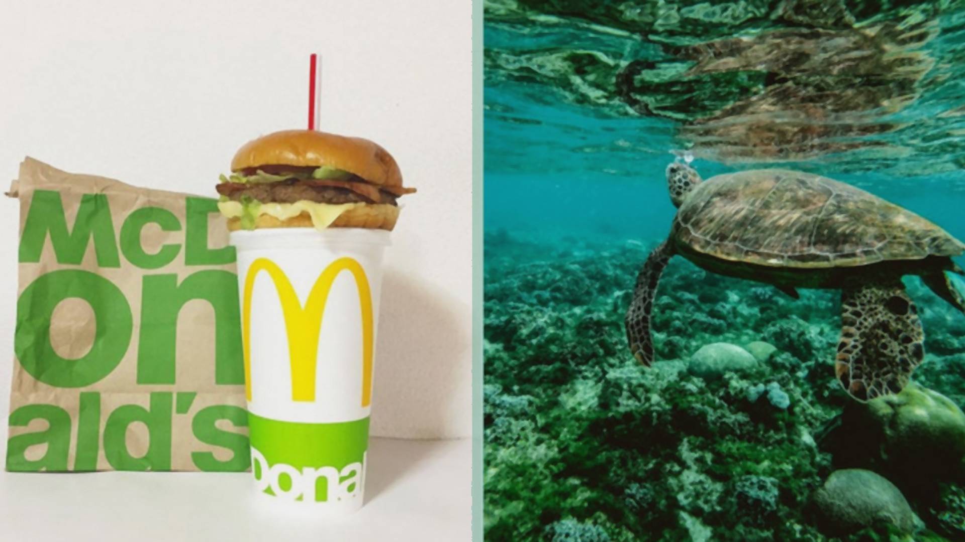 McDonald's definitívne zakázal používanie všetkých plastových slamiek