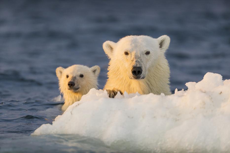 GettyImages