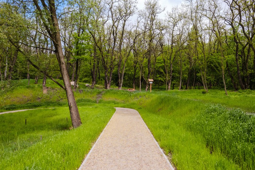 Park Tysiąclecia przeszedł metamorfozę