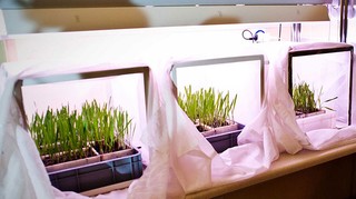 Łukasiewicz w trosce o środowisko