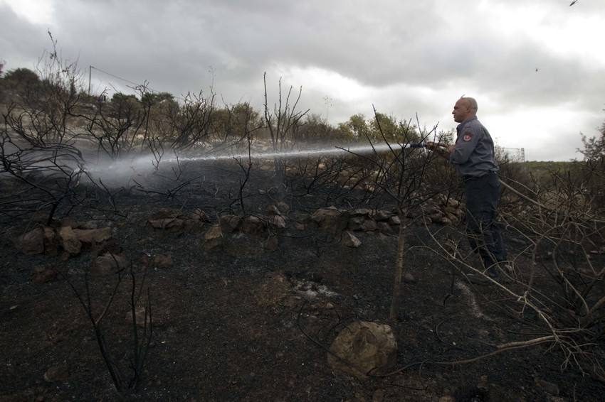 U požaru na planini Karmel poginule su 42 osobe i uništena su 74 objekta.