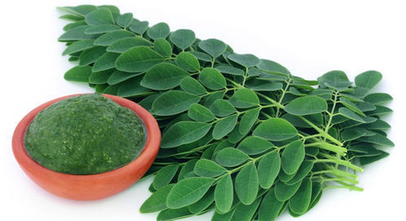 7 Amazing Benefits Of Moringa - Leave And Tea