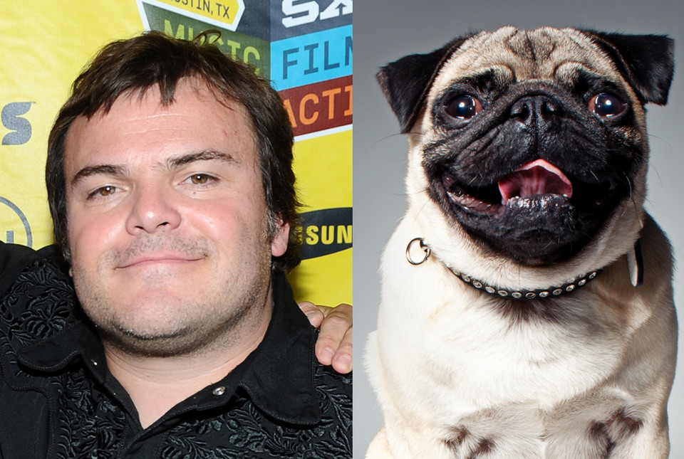 Jack Black i mops (fot. Getty Images)