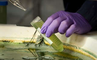 14 mld euro wyrzucone w biopaliwa i po co? Unia nie chce płacić, branża może przestać istnieć