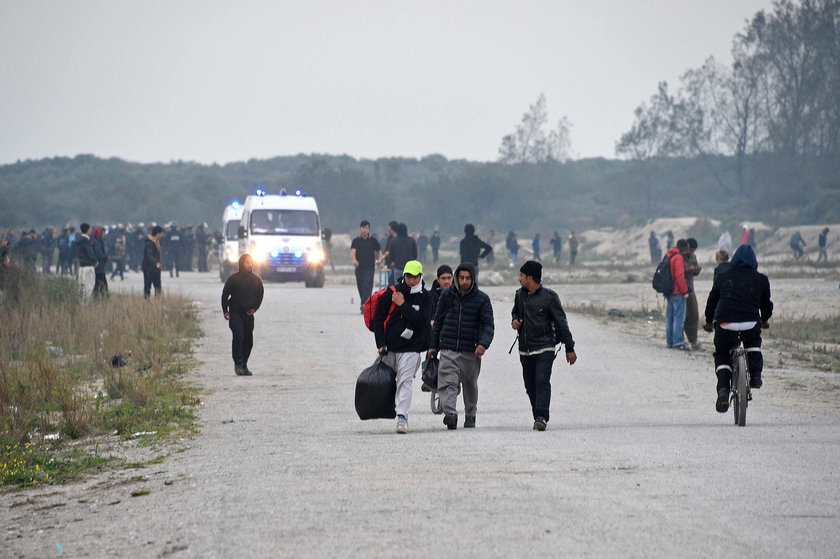 Ruszyła likwidacja "dżungli" w Calais