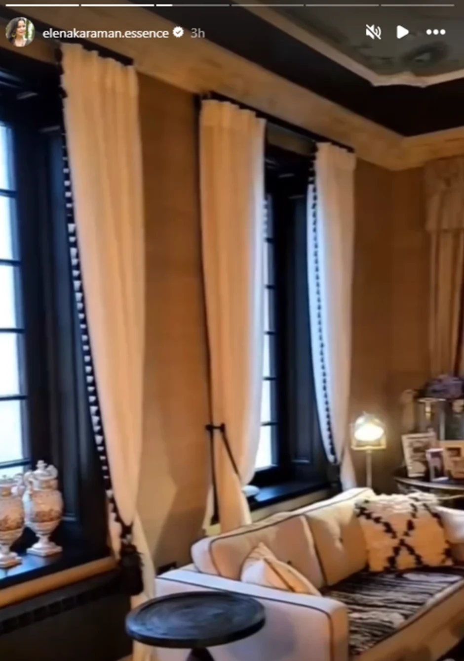 Elena Karaman, objava